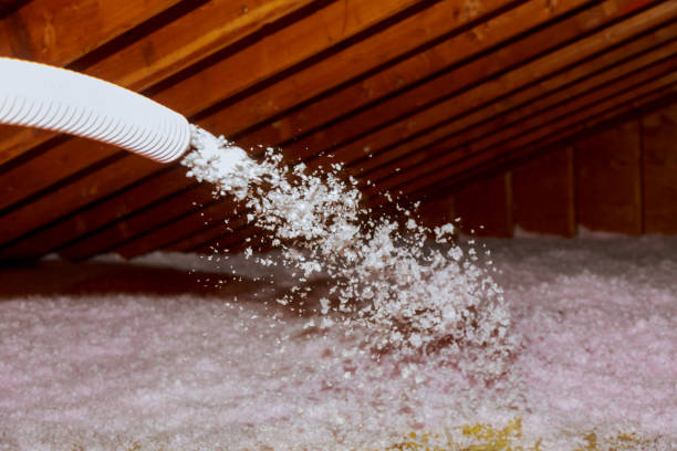 Best Energy Efficiency Solutions in Buffalo, SC