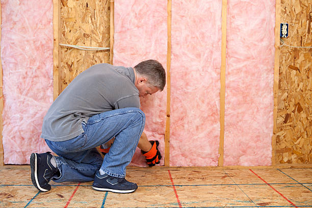Best Insulation Installation Services in Buffalo, SC
